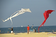 EUROCUP STACK 2011 CERVIA00030